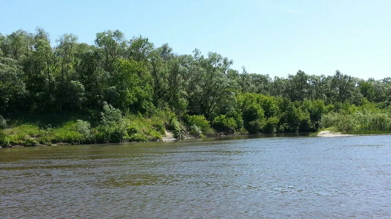 Река барыш устье. Река барыш ульяновская область. Река барыш. Река барыш в карсуне. Река мелля.