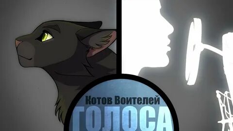 Кот опенинг