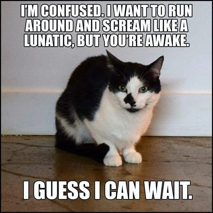 You are confusing me