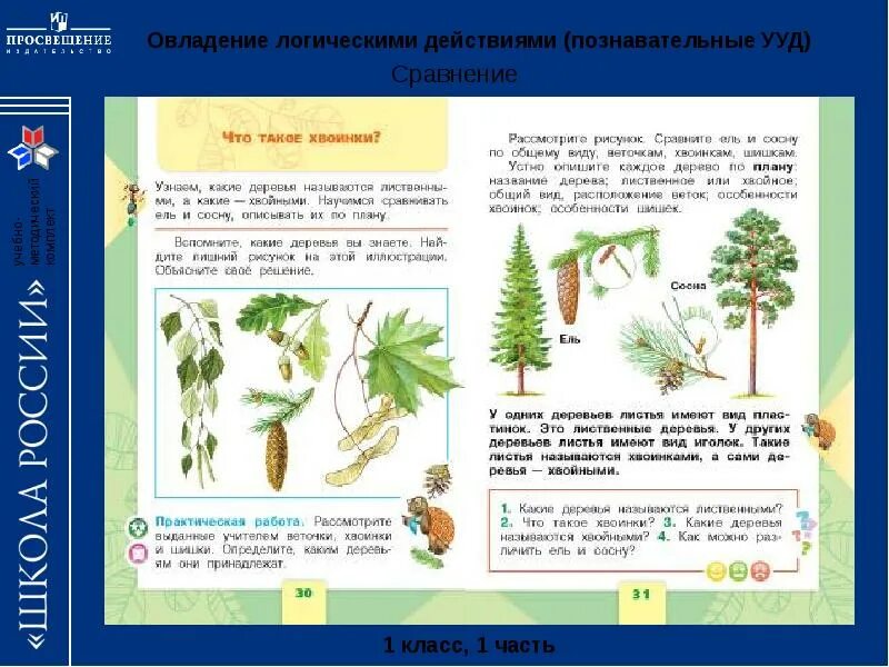 Презентация урока окружающий мир 1 класс. Темы по окружающему миру в начальной школе. Окр мир начальная школа. Окружающий мир школа России начальная школа.