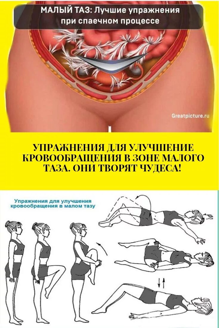 Кровообращение малого таза у женщин. Упражнения для органов малого таза для кровообращения. Упражнения при спаечном процессе малого таза. Упражнения при спайках малого таза. Упражнения для улучшения кровообращения в Малом тазу.