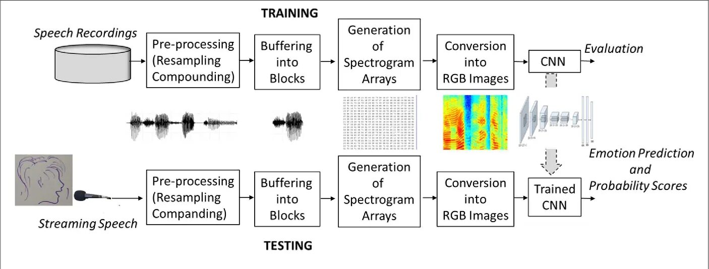 Speech emotion recognition