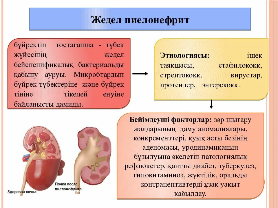 Детский пиелонефрит. Острый и хронический пиелонефрит. Односторонний хронический пиелонефрит.