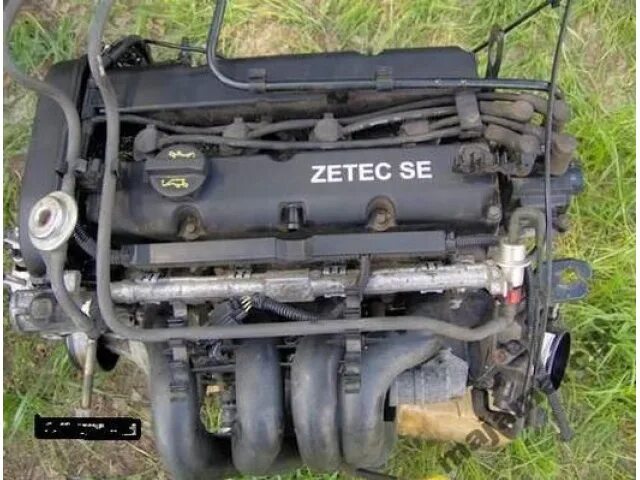 Zetec 1.8 купить. Двигатель ЗЕТЕК 1.6 Форд фокус 1. Двигатель Форд фокус 1 1.6 Zetec-se. Двигатель Zetec se 1.4. Focus mk1 Zetec 2.0.