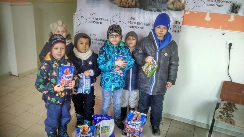 Акция покорми животных. Акция покорми бездомных животных в детском саду. акция накорми бездомное животное в детском саду. акция бездомным животным в детском саду. акция бездомные животные в детском саду младшая группа.