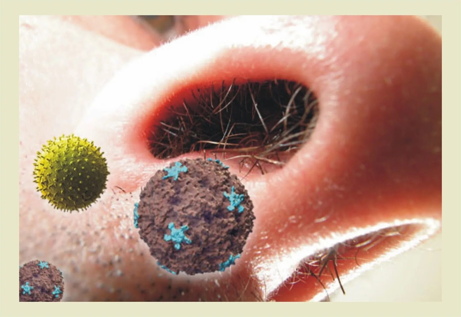 Почему много козявок в носу. Микробы в носу под микроскопом. Бактерии в носу под микроскопом.