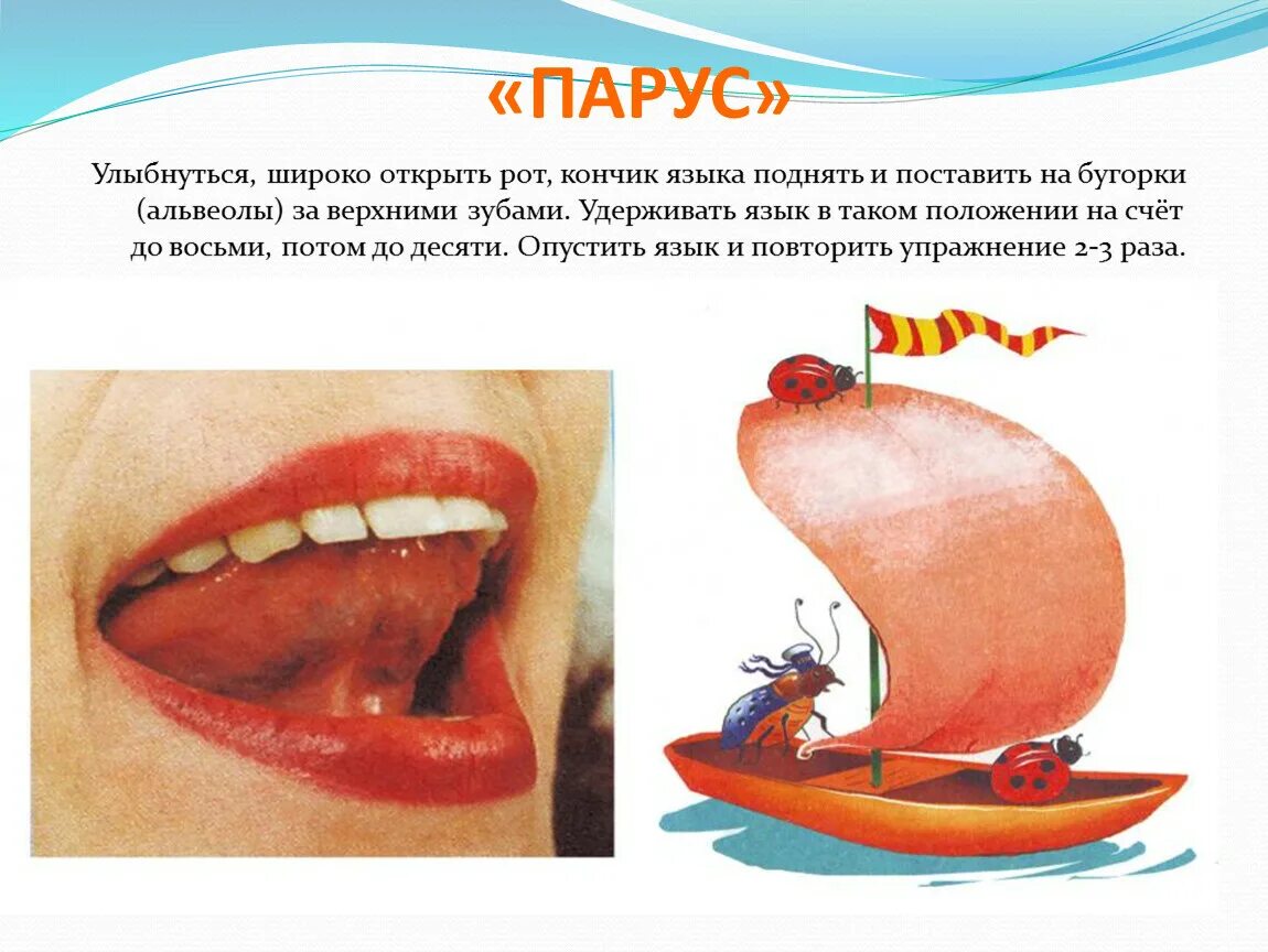 Т рте л и