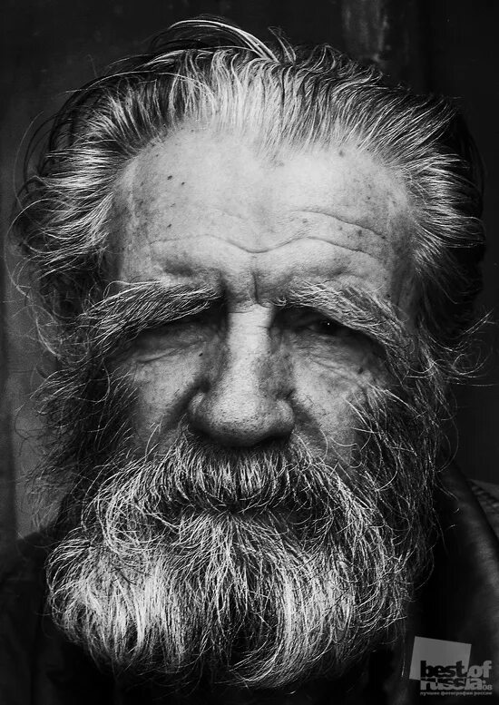 достоевский мужик марей читать. астраханов мужик марей. ф. мужик марей достоевский. федор достоевский «мужик марей» 1876.