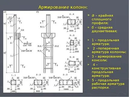 Поперечная колонна