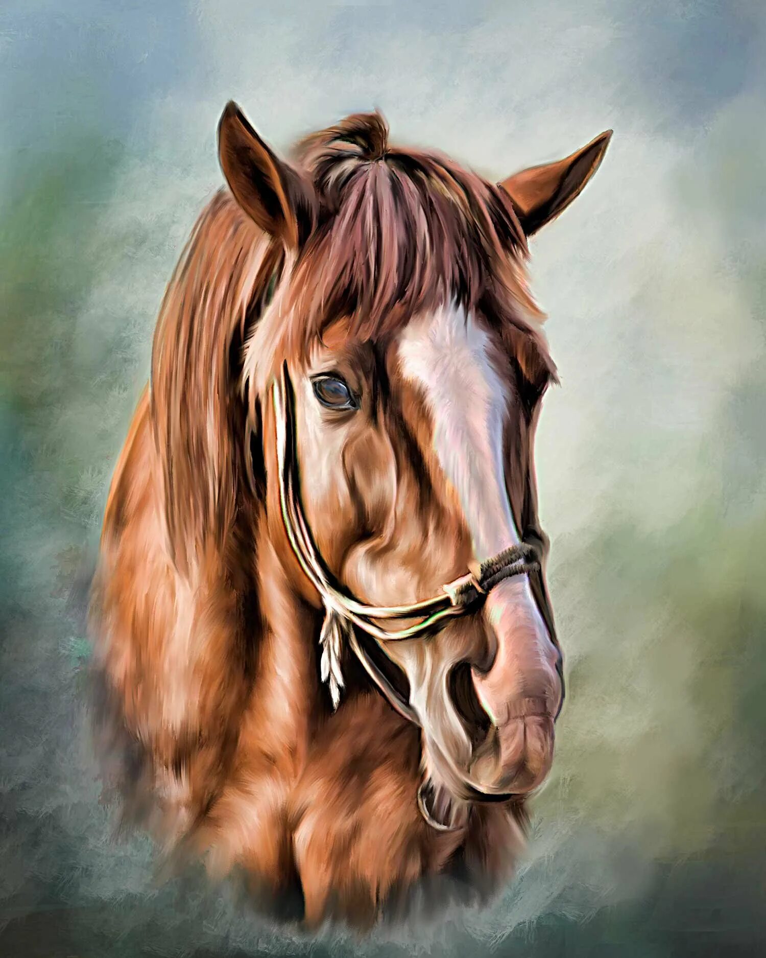 Картина лошадка. Красивые морды лошадей. Лошадь живопись морда.