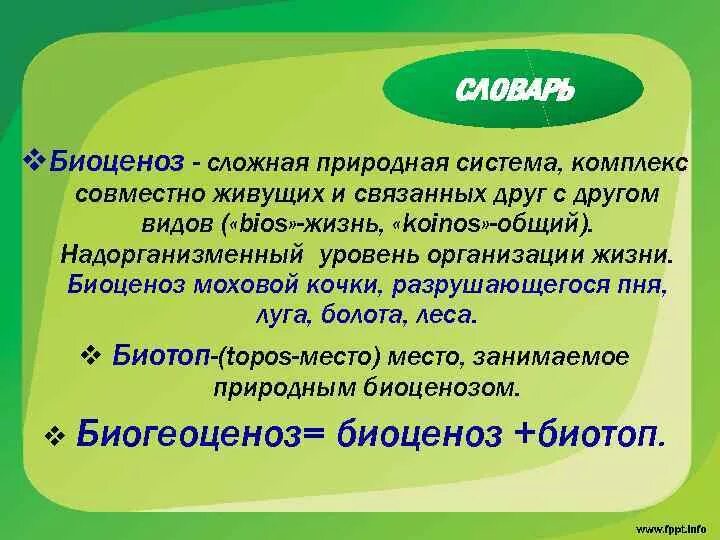 Биоценоз это в экологии. Система биоценоза. Биоценоз Моховой Кочки. Структура биоценоза презентация.