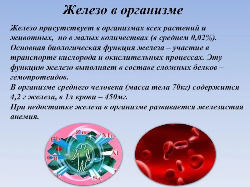 Что такое железо в организме. Железо в организме. Роль железа в организме человека. Биологическая роль железа в организме. Роль железа в жизни.