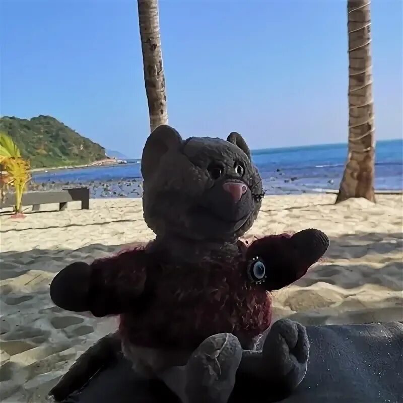 Кот мурыч радио. Кот мурыч радио