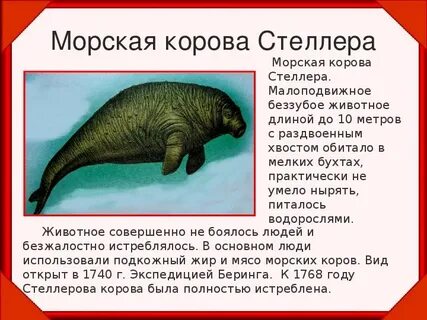 Сообщение о вымерших животных