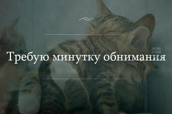 Прошу внимания песня. Требую минутку обнимания. Я на минутку. Обнимаю котик с надписями. Хочется тебя обнять крепко- крепко котик.