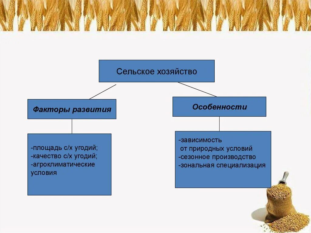 Условия и факторы развития производства. Факторы специализации сельского хозяйства. Факторы развития растениеводства. Условия для развития сельского хозяйства. Факторы развития сельского хозяйства России.