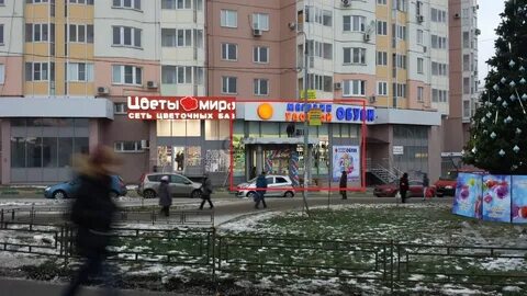 Новинки 1