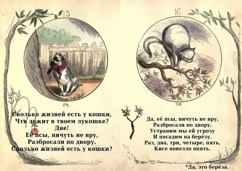 Сколько жизней стих. Сколько жизней у кошки. У кошки 9 жизней. Почему говорят что у котов 9 жизней. Сколько жизней.