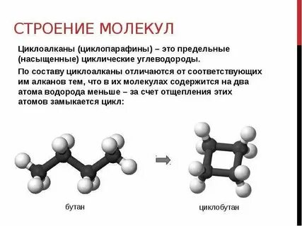 Водородная связь характерна для алканов