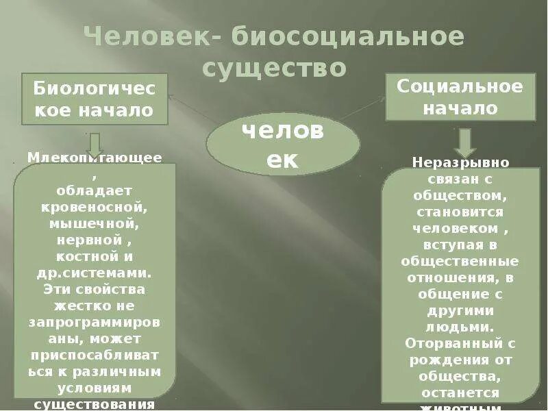 Что означает биосоциальное существо. Человек биосоциальное существо. Яелоаеу биосойиальнте сущкство. Человк био социальное СУЩЕСТВОФ. Человек био Сециальное сушество.