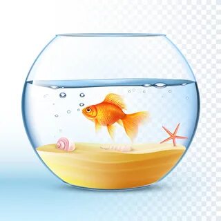 Рассмотрите плавающих