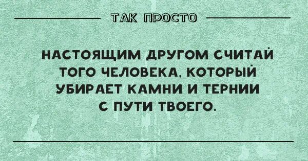 Кого можно считать настоящим другом. В остальном считаю что. День роисси. Почему люди считают себя умнее других. Разница между умным и мудрым.