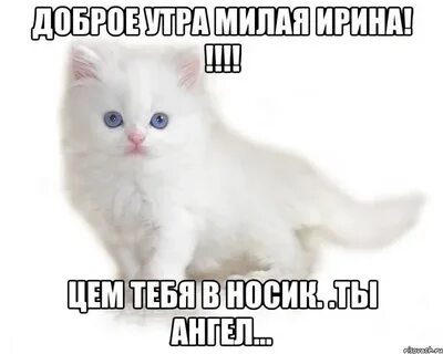 Открытки доброе утро юля