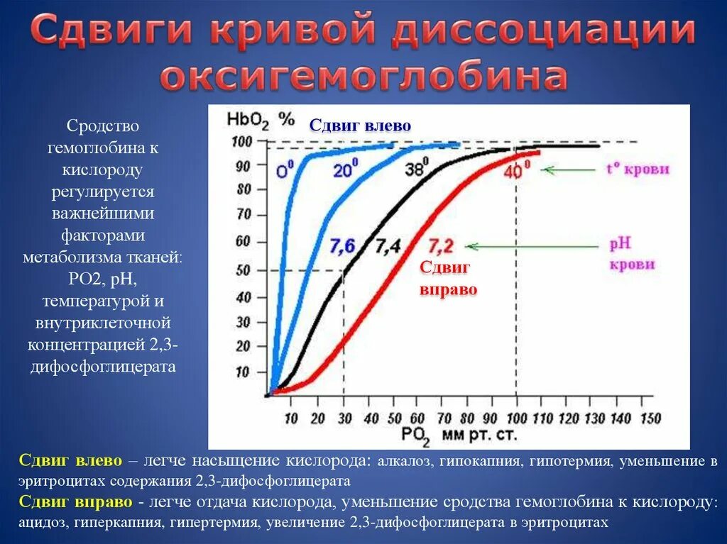 Кривая диссоциации оксигемоглобина, ее характеристика.. Факторы влияющие на смещение Кривой диссоциации оксигемоглобина. Кривая диссоциации гемоглобина смещается. Кривая диссоциации о2 гемоглобином.