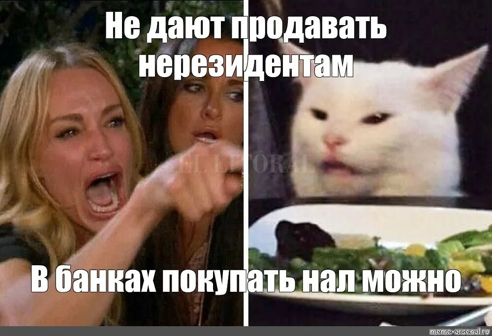 Кот из мема с девушками. Мем с котом и двумя женщинами. мем с женщиной и котом. мем девушка орет на кота за столом.