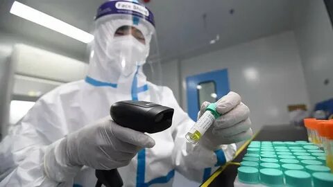 Рекордная заболеваемость