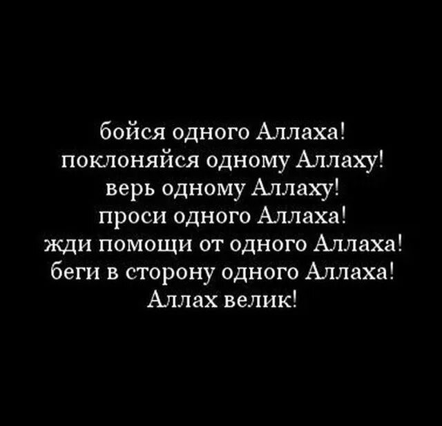 Бойтесь всевышнего. Верь только в Аллаха. Верю в Аллаха. Бойся Аллаха.