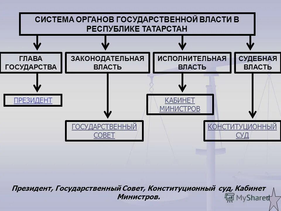 Органы государственной власти курсовая