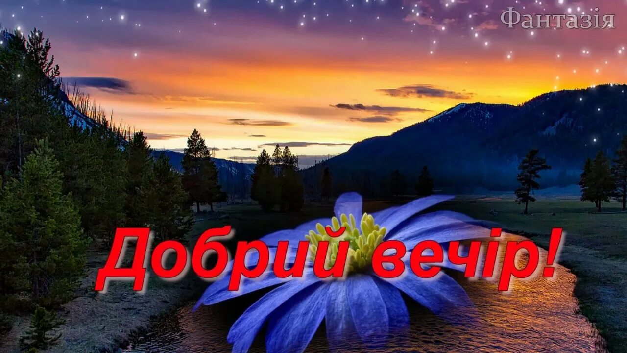 Добраніч, солодких снів! #добраніч #ніч #солодкихснів #привітання #картинки #лис