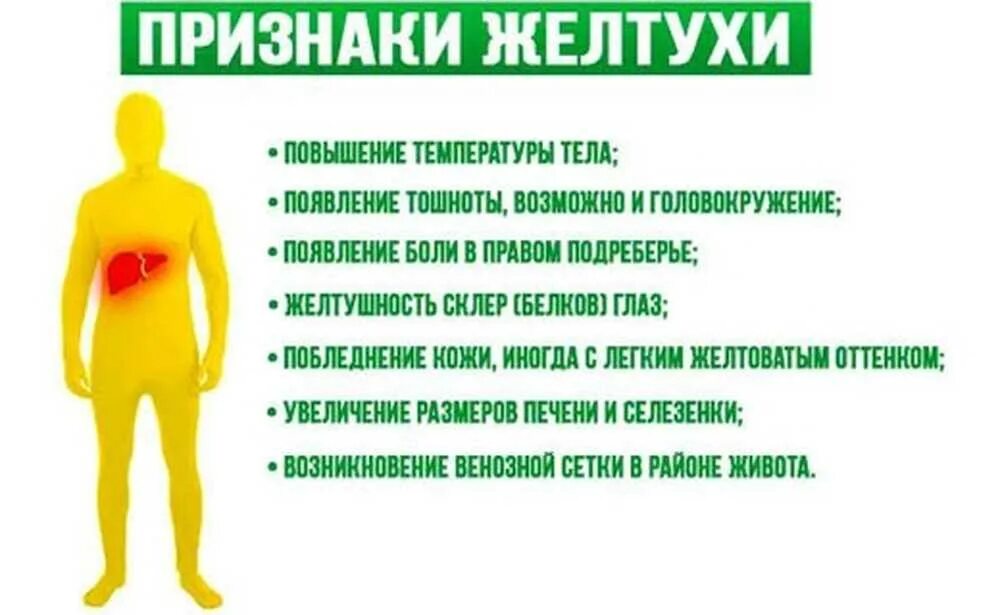 Желтуха причина болезни. Механическая желтуха заболевания. Хронический панкреатит с механической желтухой. Причины обструктивной желтухи. Желтуха симптомы у взрослых причины.