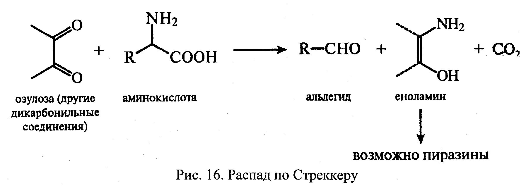 Распад po. Дикарбонильное соединение. Распад по Стреккеру. B-дикарбонильные соединения. 1 3 Дикарбонильные соединения.