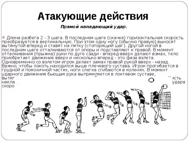 Нападающий или нападающая. Стадии нападающего удара в волейболе. прямой нападающий удар фазы. нападающий удар в волейболе фазы. нападающий удар выполняется в шага.