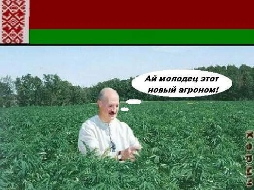 Новый агроном еще утром предупреждал что. Агрономия тексты. Новый агроном еще утром предупреждал что. Новый агроном еще утром предупреждал что. Новый агроном еще утром предупреждал что.