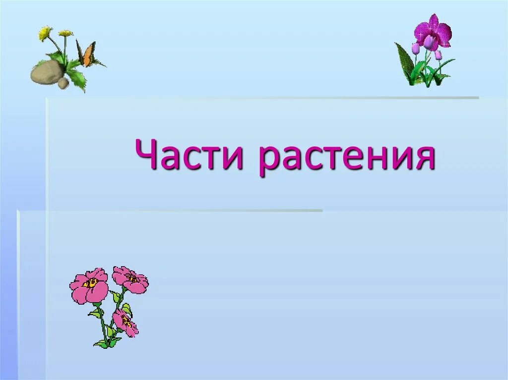 Первая часть презентации. Части растения. Цветы для презентации. Части растения 2 класс. Цветы окружающий мир 1 класс.