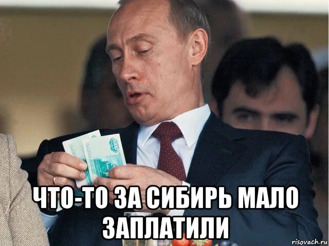 Путя Мем. Путя мемы. Мало заплатили. Злой путя. Мало заплатили за выборы