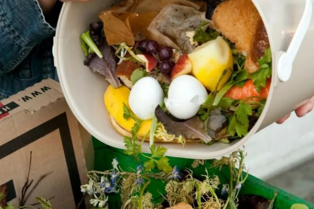 Пищевые отходы кухонь и организаций. Пищевые отходы. Еда в мусорке. Остатки пищи. Кухонные отходы.