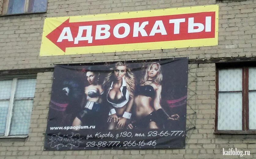 Смешные юристы. Адвокат смешные картинки. шутки про адвокатов. смешная реклама юриста.