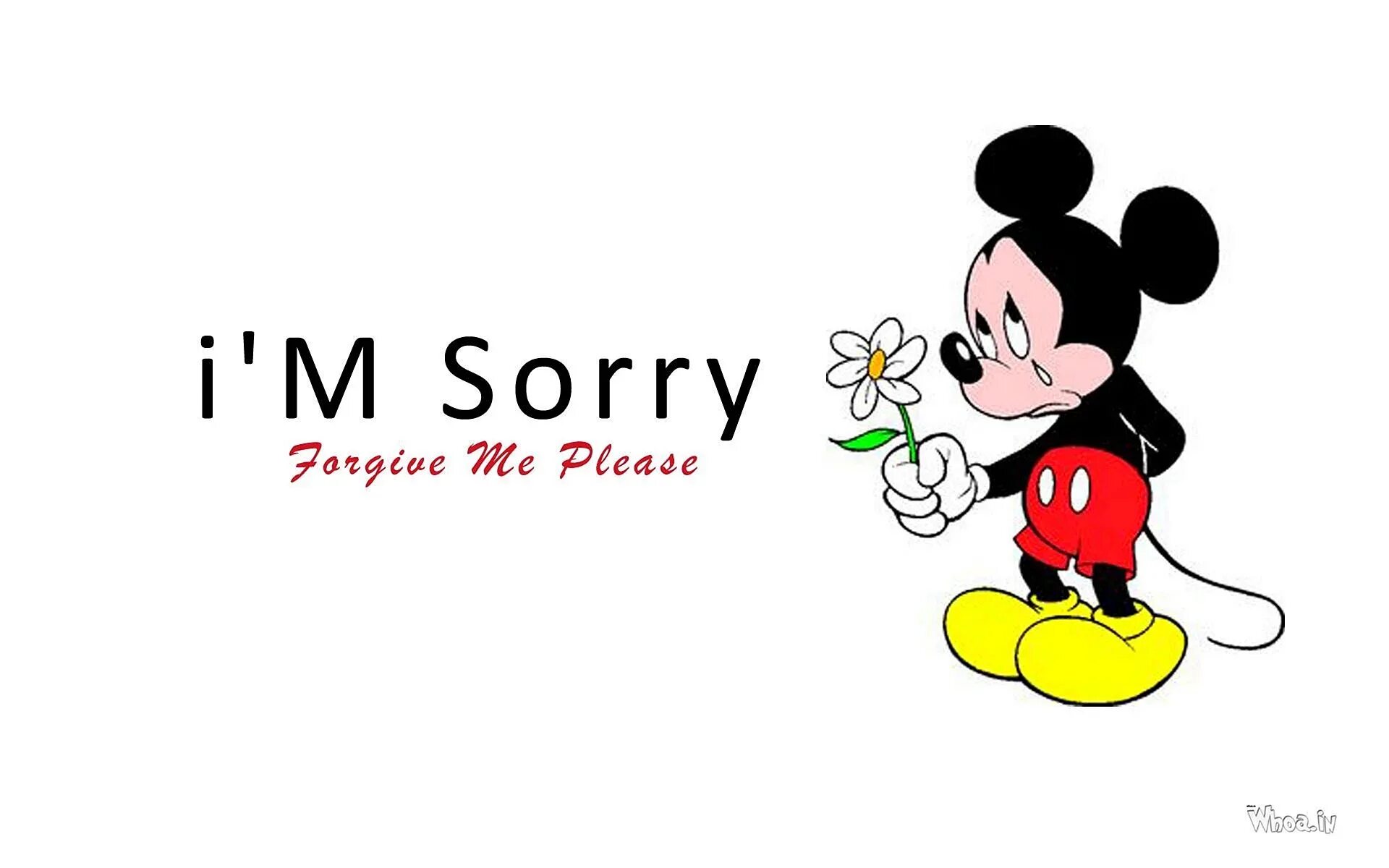 So always sorry. Sorry. сорри картинка. i am sorry картинки. sorry надпись.