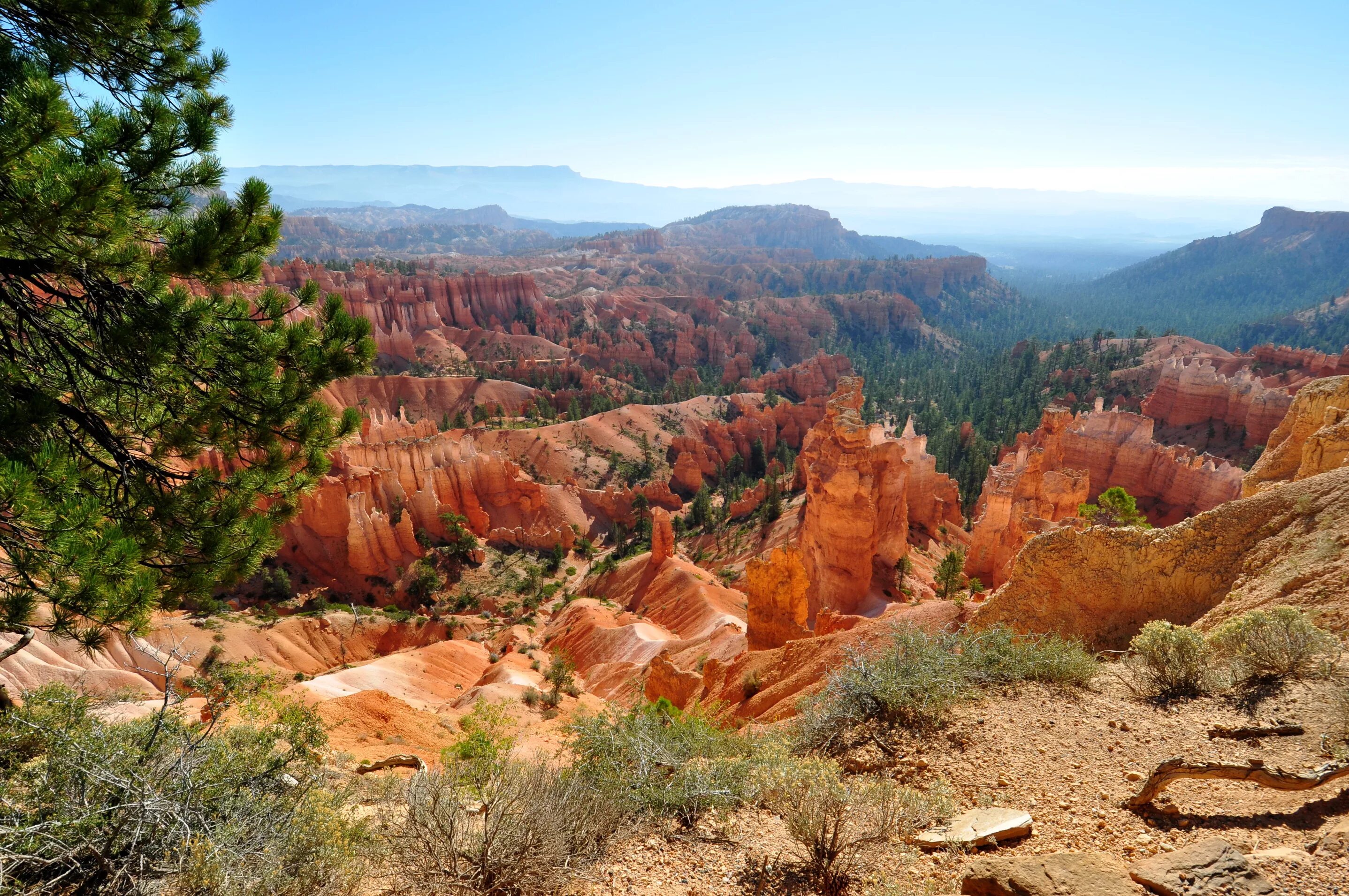 National park usa. Брайс каньон национальный парк. Национальный парк Брайс-каньон, Юта, США. Национальный парк Брайс каньон Юта. Штат Юта каньоны.