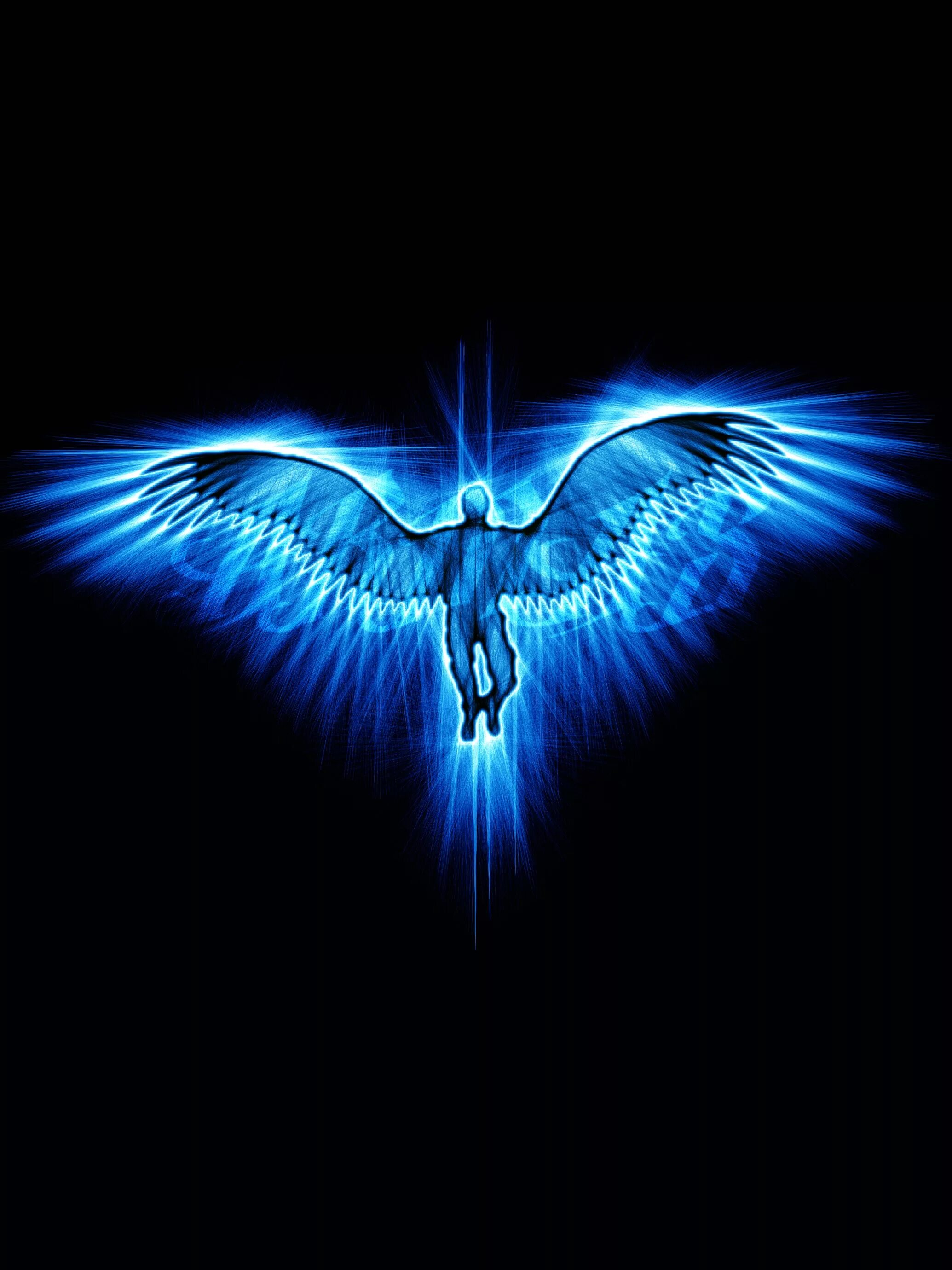 Красивые Крылья. Синий Орел. Синие Крылья. Крылья на черном фоне. Буква т с крыльями