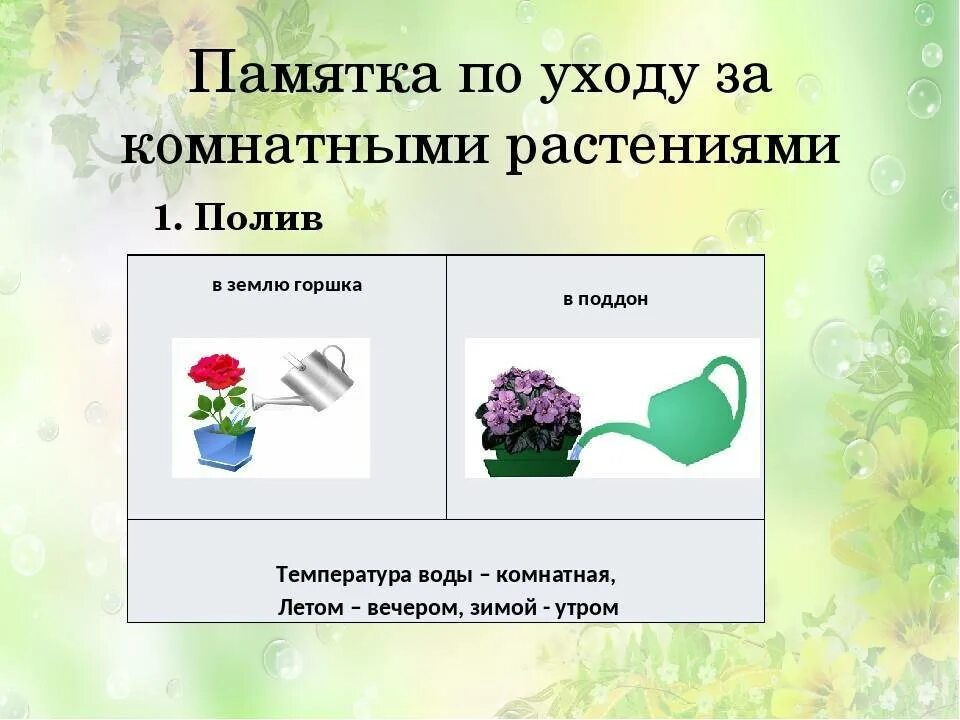 Карта ухаживающего
