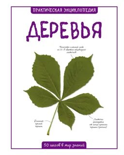 Стал деревом читать