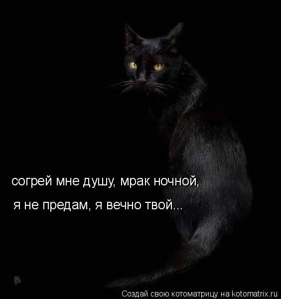 Слово тьма в слово свет. Цитаты про свет и тьму. Фразы про темноту. Цитаты про тьму. Цитаты про темноту и свет.