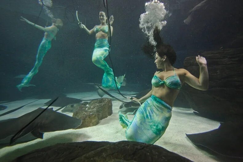 Русалка в океанариуме. Weeki Wachee Mermaids. Театр Русалочка. Русалка в аквапарке.