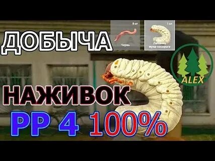 Рр4 прокачка приманок