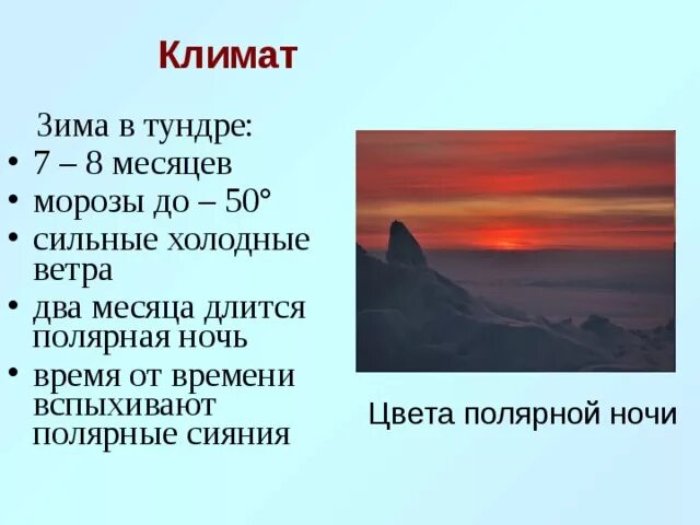 Климат тундры. Климатические условия тундры. Природно климатические условия тундры. Климатические условия зоны тундры.